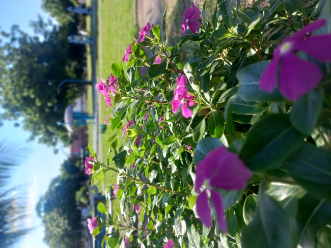 foto:Karla santos  - lo hecho en México