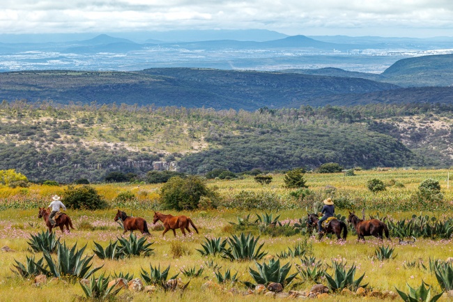 foto:JUAN JOSE DEGETAU SADA - lo hecho en México