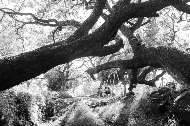 foto:Rafael Luna Quintanilla - lo hecho en México