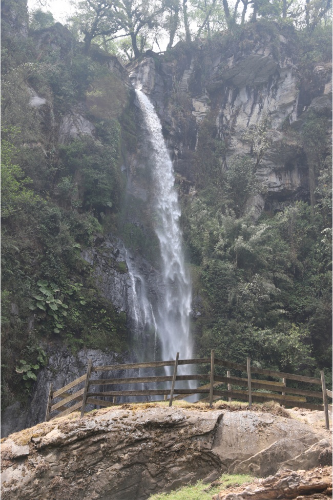 foto:Peter Grube Pagola - lo hecho en México