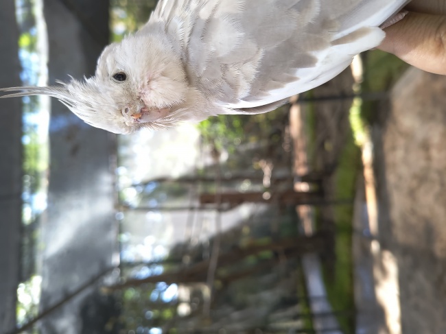 foto:Raul Ramirez Luna - lo hecho en México