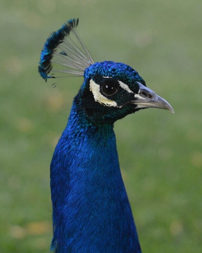 foto:Silvia Jovana Monroy Andrade - lo hecho en México