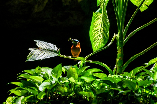foto:WENDOLYNE AMARO COETO - lo hecho en México