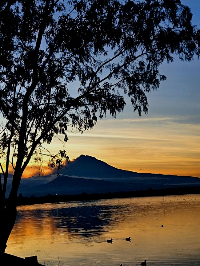 foto:CRISTOBAL VARELA MOLINA - lo hecho en México