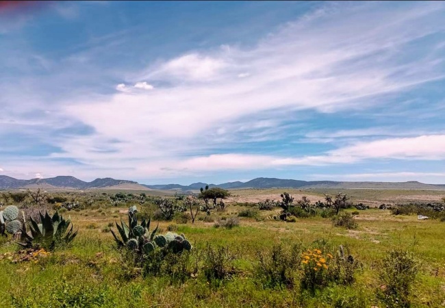 foto:Juan Rodríguez Martínez   - lo hecho en México