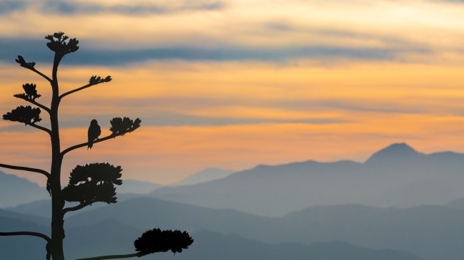 foto:Jorge Javier Barrera Navarro - lo hecho en México