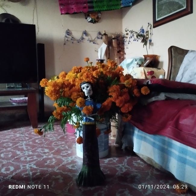 foto:MARÍA DE LOS ANGELES RUGERIO ROSAS   - lo hecho en México