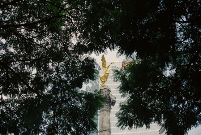 foto:ANDRES VALDES REYES  - lo hecho en México