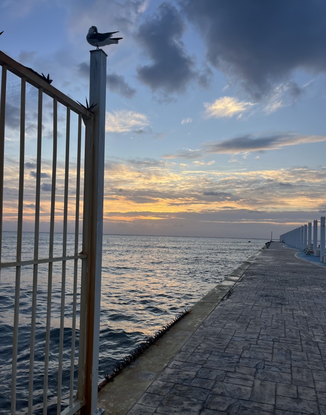 foto:Patricia Nayeli Rodríguez Hernández  - lo hecho en México