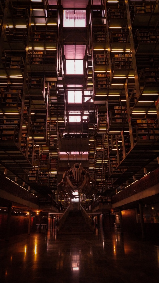 foto:Zedrik Sealtiel Alvarez Monteverde  - lo hecho en México