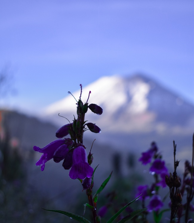 foto:Iván Camarena - lo hecho en México