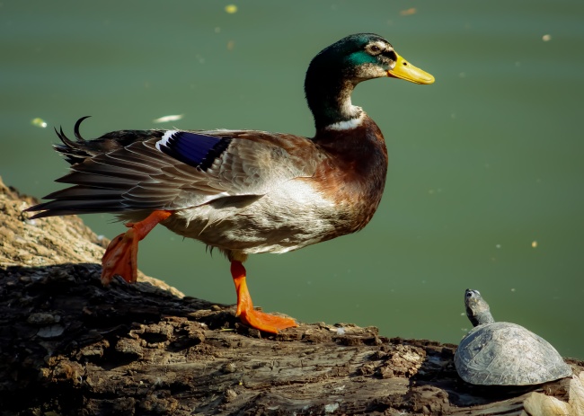 foto:Eduardo Martínez Velázquez - lo hecho en México