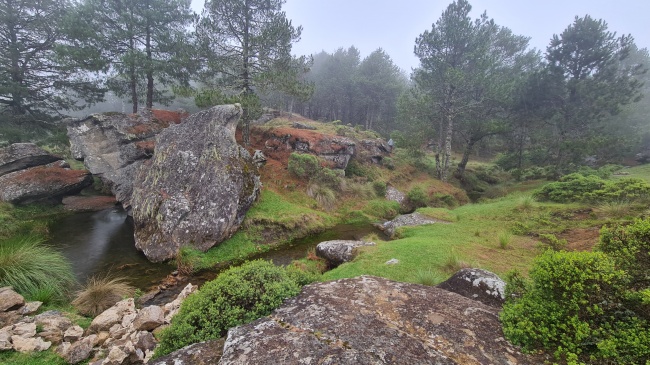 foto:Agustin Perez Ramirez  - lo hecho en México