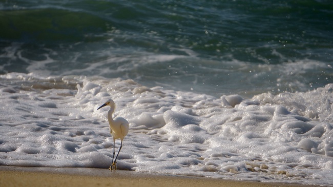 foto:Jose Ulises Ponce Avila - lo hecho en México