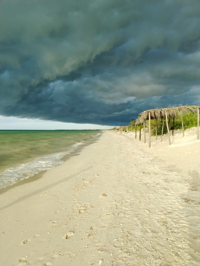 foto:Alejandro Ávila de la fuente  - lo hecho en México