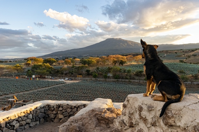 foto:Alejandro Muciño Delgadillo - lo hecho en México