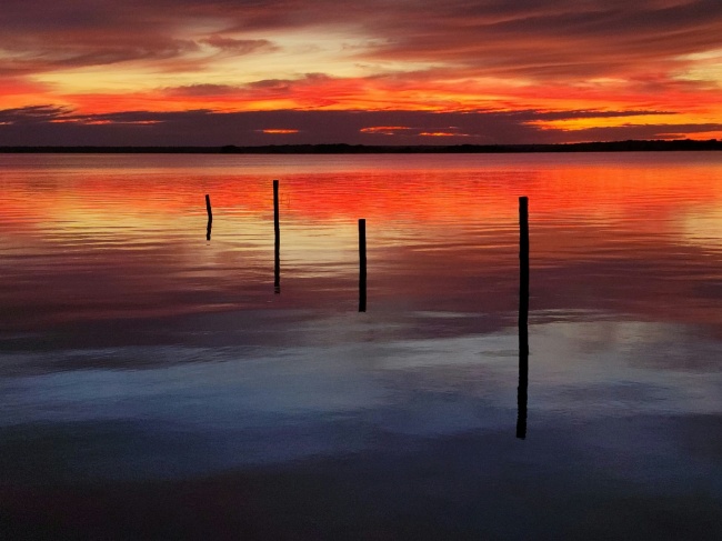 foto:Victor Manuel Estevez Arellano - lo hecho en México
