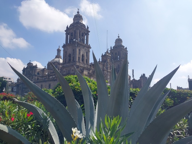 foto:Roxana Rosas Landarte   - lo hecho en México
