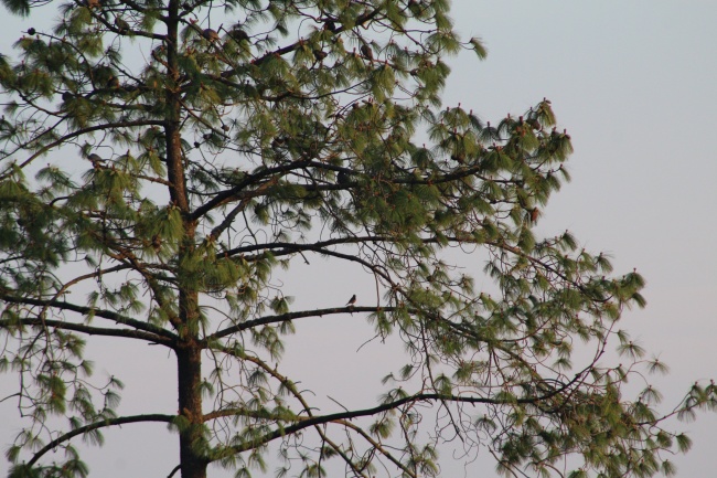 foto:Jaime Ramírez Rodríguez - lo hecho en México