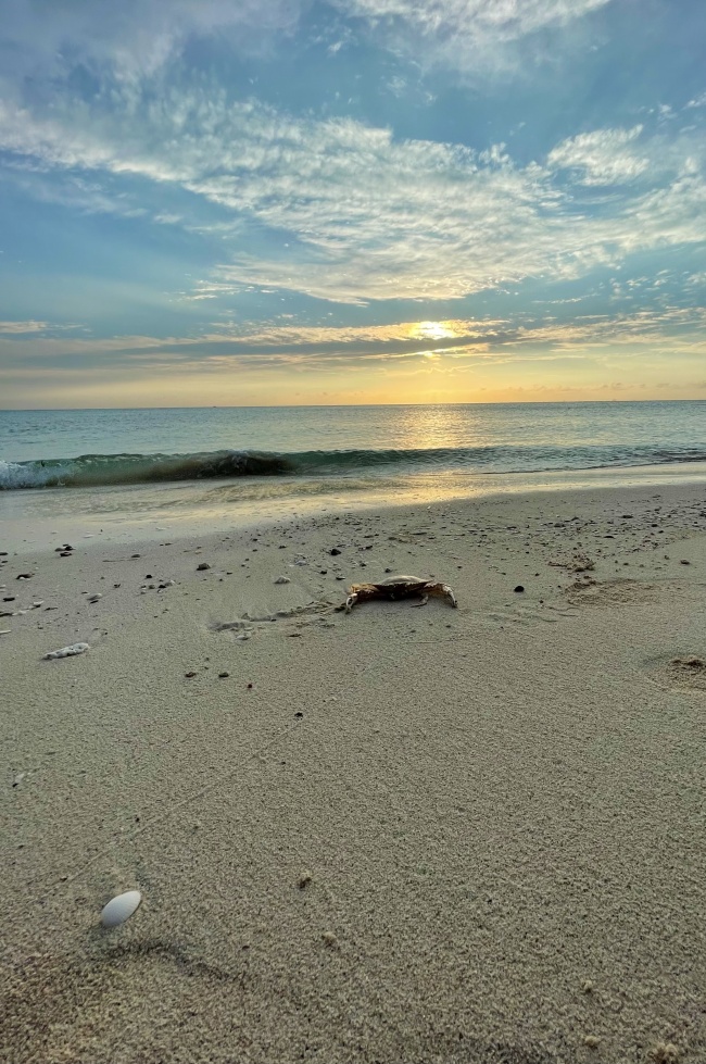 foto:María Bárbara  - lo hecho en México
