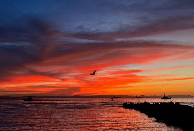 foto:Karla Gabriela Ocampo Aguilera  - lo hecho en México