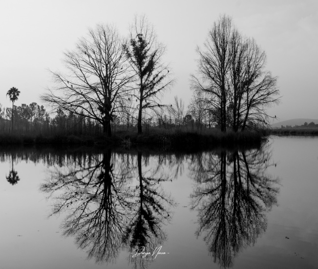foto:Diego Nava Guerrero  - lo hecho en México