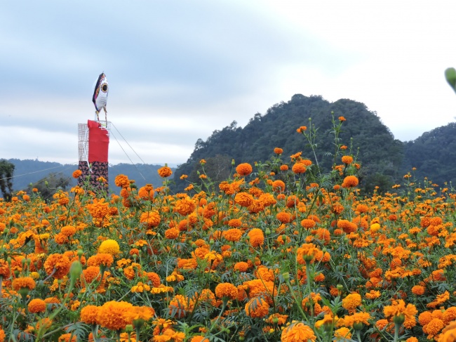 foto:Jessica García Pérez - lo hecho en México