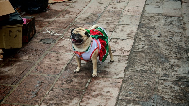 foto:Oliver Alexis Morales Hernández  - lo hecho en México