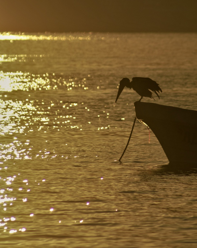 foto:Jesús Andrés Morales Soriano  - lo hecho en México