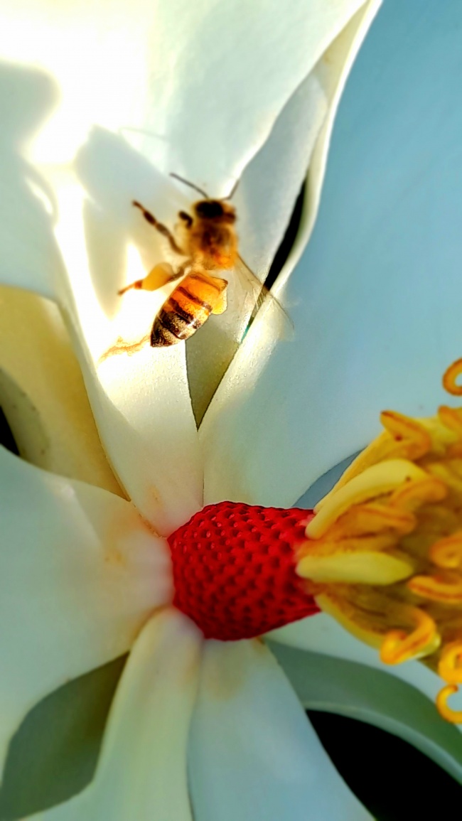 foto:Jose juan valdes perez - lo hecho en México