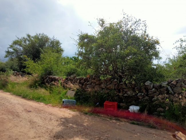 foto:Leonardo Gómez Bautista  - lo hecho en México