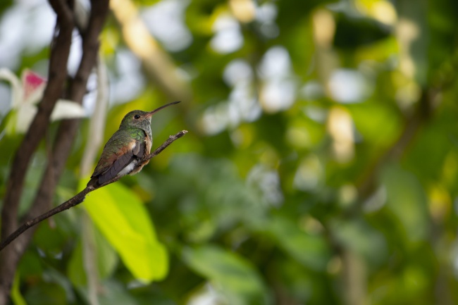 foto:Susana Aguirre Zurita - lo hecho en México