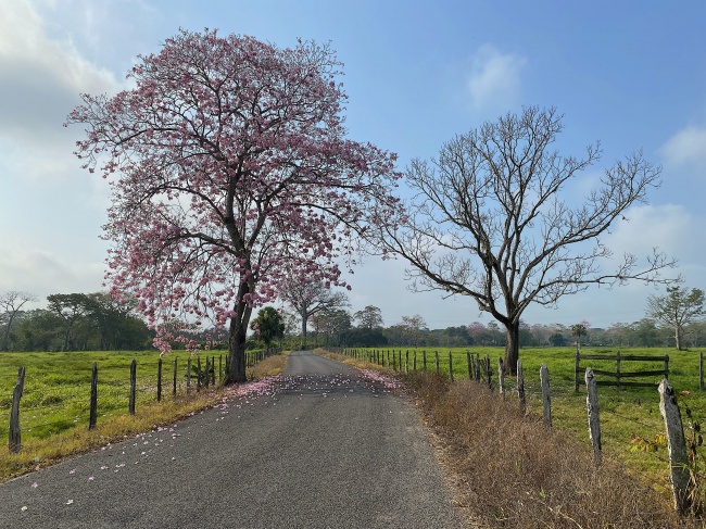 foto:Emmanuel de la Cruz Vidal - lo hecho en México