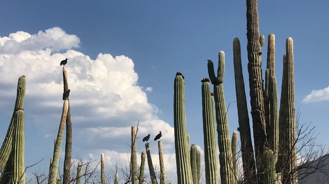 foto:ITZEL GUADALUPE FLORES MORENO - lo hecho en México