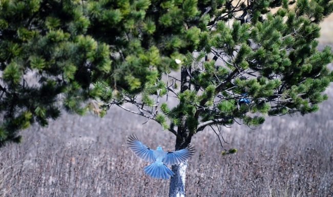 foto:CORAL COSTILLA LIÑAN  - lo hecho en México