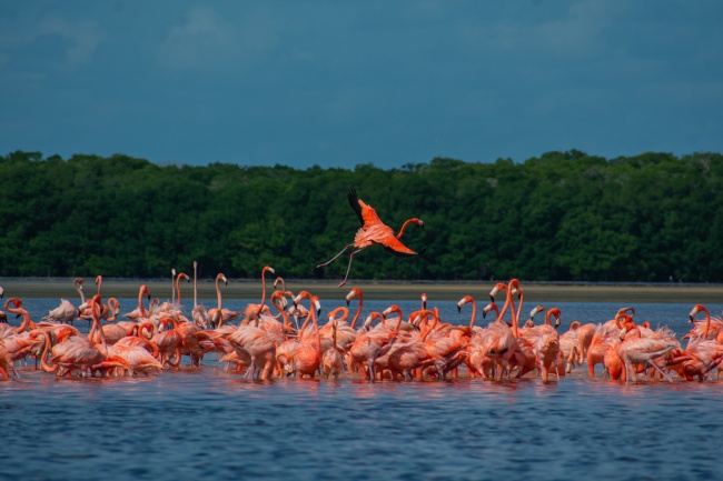 foto:Otto David Ramírez Villa - lo hecho en México