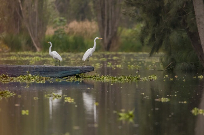 foto:Yadira Sotelo Villafaña - lo hecho en México