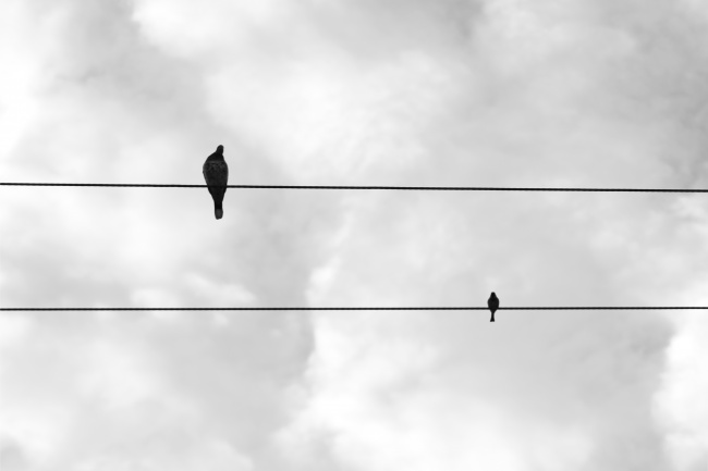 foto:Victor Manuel Espinosa Miranda - lo hecho en México