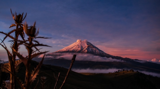 foto:Jessica Miram Ortiz Chino - lo hecho en México