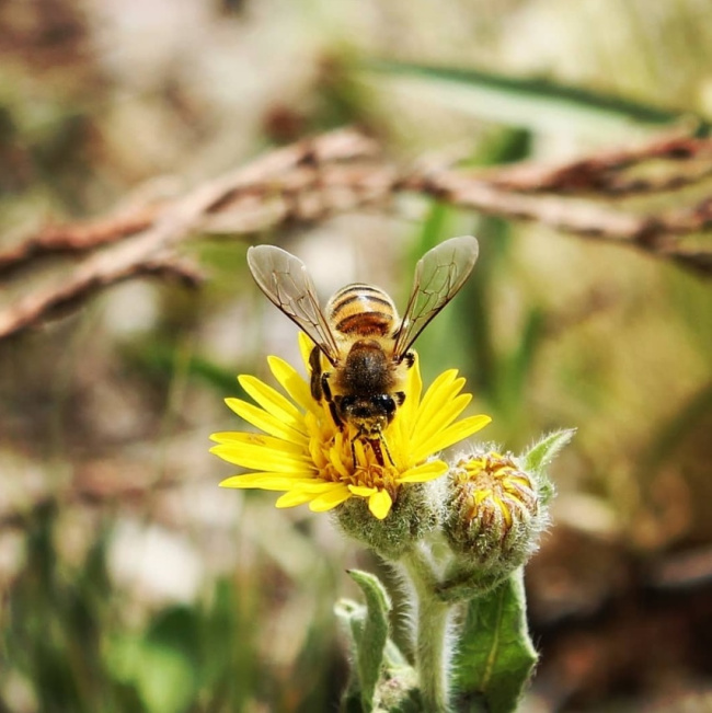 foto:Luis David Aguilar Padilla - lo hecho en México