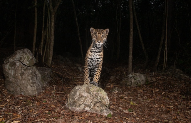 foto:Raúl Castro Urbiola - lo hecho en México