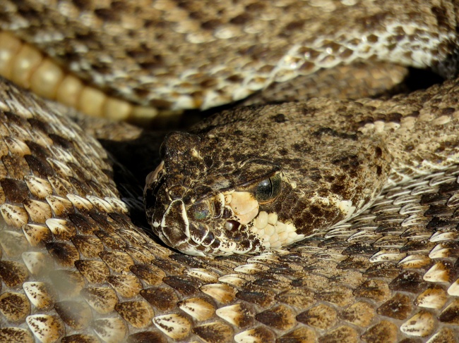 foto:Eduardo Fernández Reza - lo hecho en México
