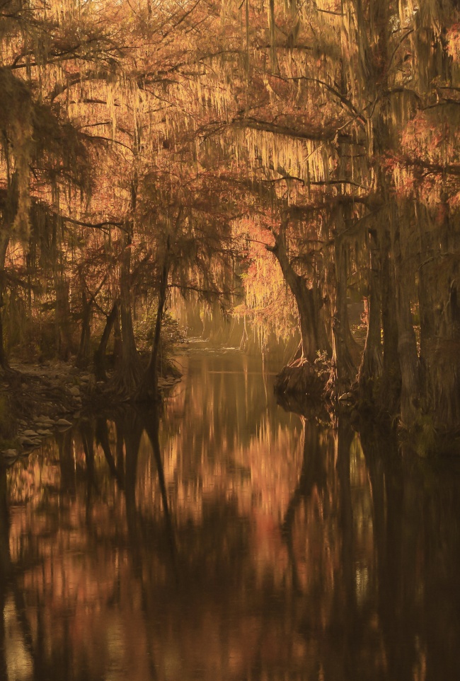 foto:Verónica Lizeth González Pérez  - lo hecho en México
