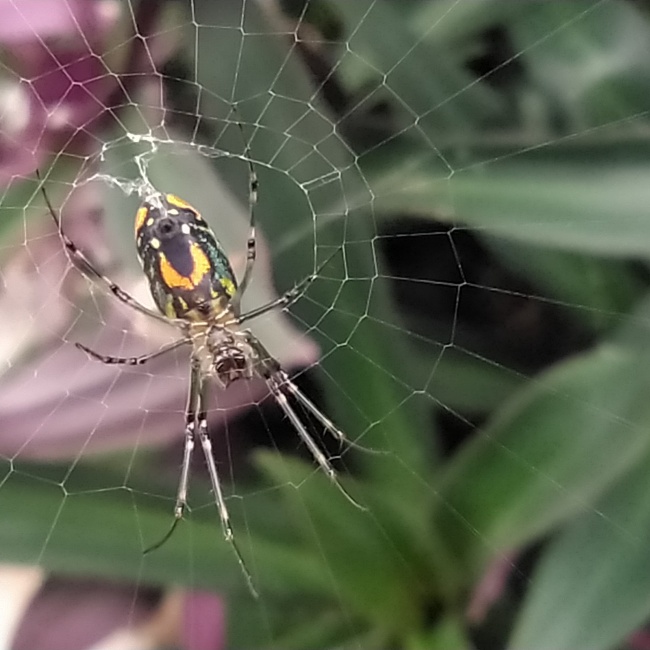foto:Yazmin del Carmen Cruz Varela  - lo hecho en México