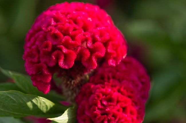 foto:María Elena Guzmán Juárez - lo hecho en México