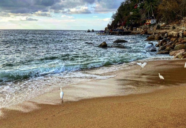 foto:César Octavio García Carbajal  - lo hecho en México