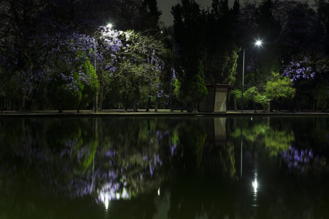 foto:JOSÉ LUIS GODOY RENDÓN  - lo hecho en México