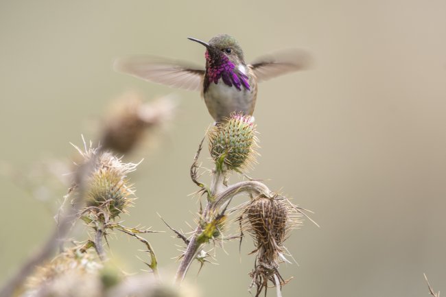 foto:Francisco Medina  - lo hecho en México