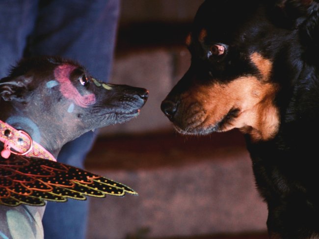 foto:Karen Ailin Reséndiz González   - lo hecho en México