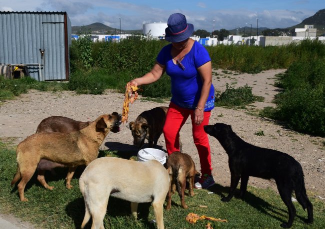foto:Juan Raul Barreiro Isabel  - lo hecho en México